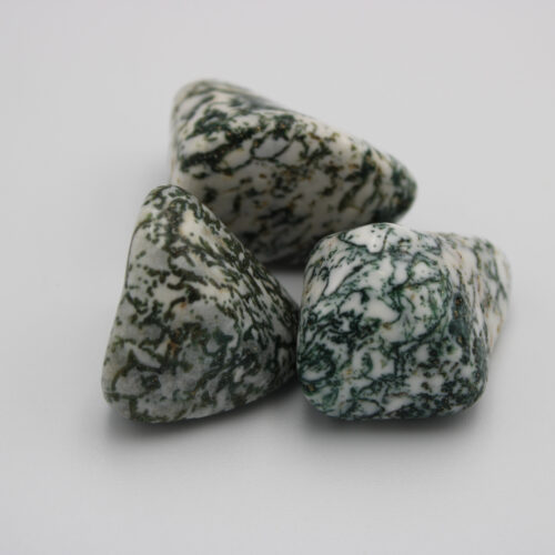 Tree Agate Tumbled Stones