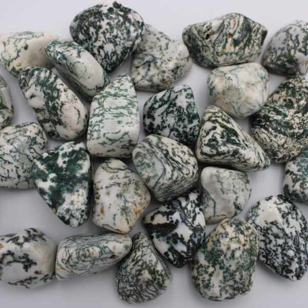 Tree Agate - Tumbled Stones - Image 2
