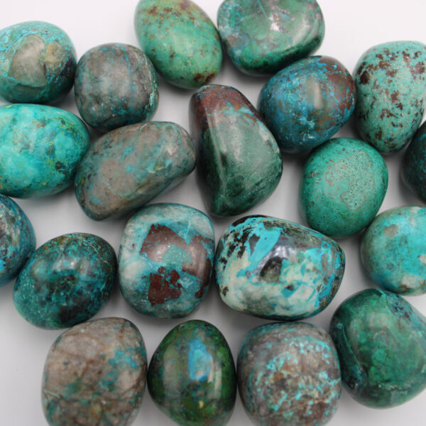 Chrysocoll Trommelsteine Bundle