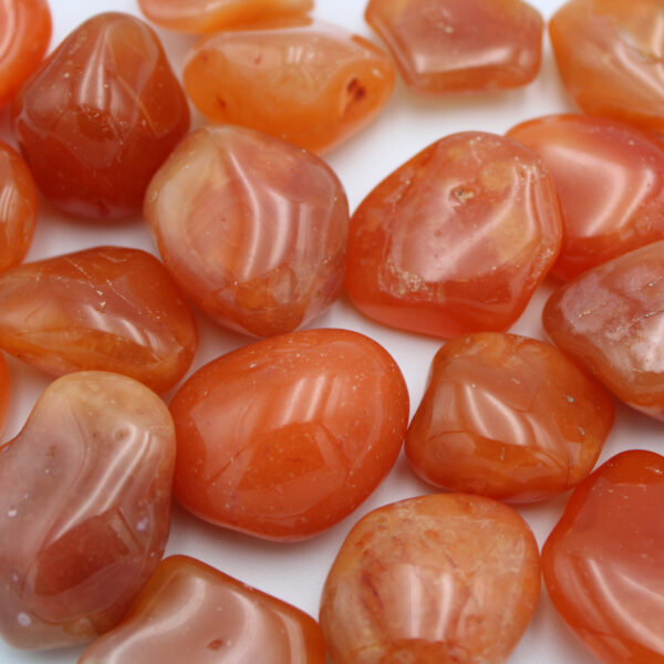 Carnelian Tumbled Stones Bundle