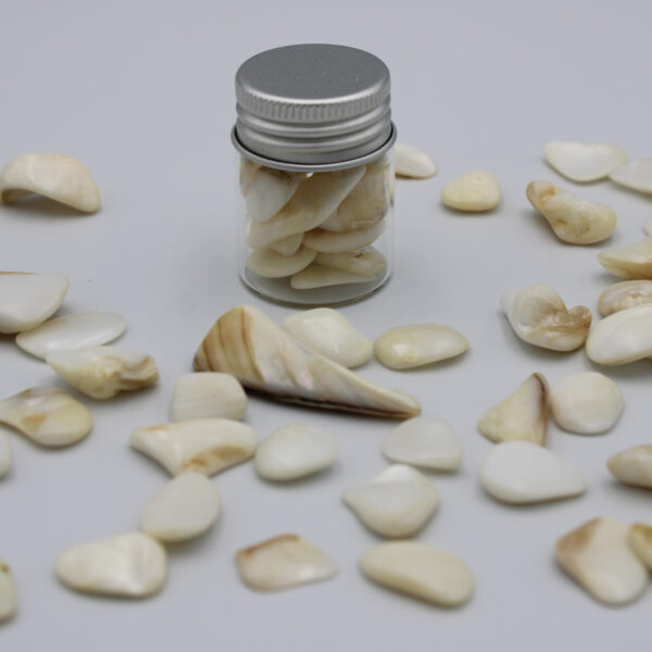 Mother-of-pearl in a Glass Vial