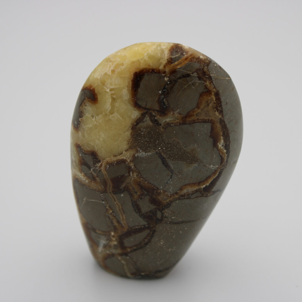 Septarie-freeform-327g