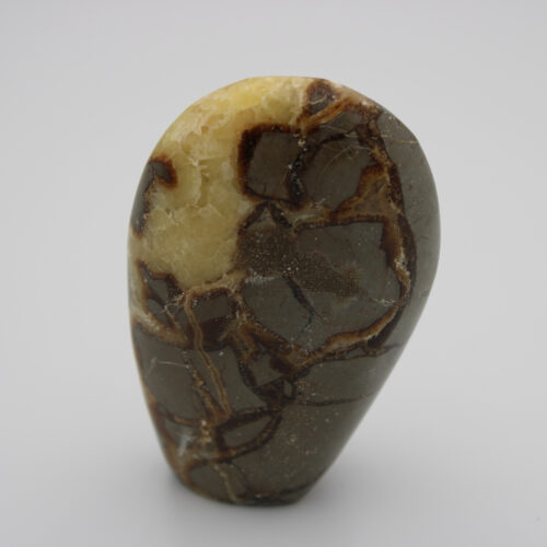 Septarie-freeform-327g