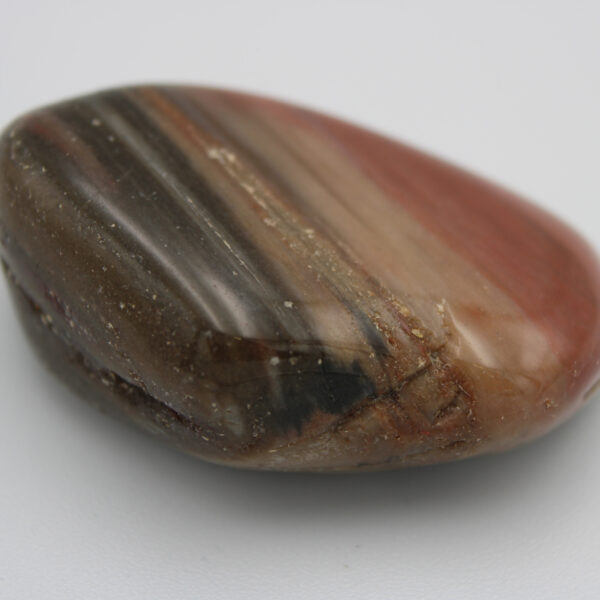 Versteinertes Holz Trommelstein