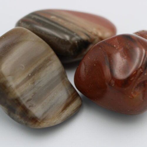 Versteinertes Holz Trommelsteine