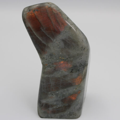 Labradorite Mystic Shine Gold Freeform