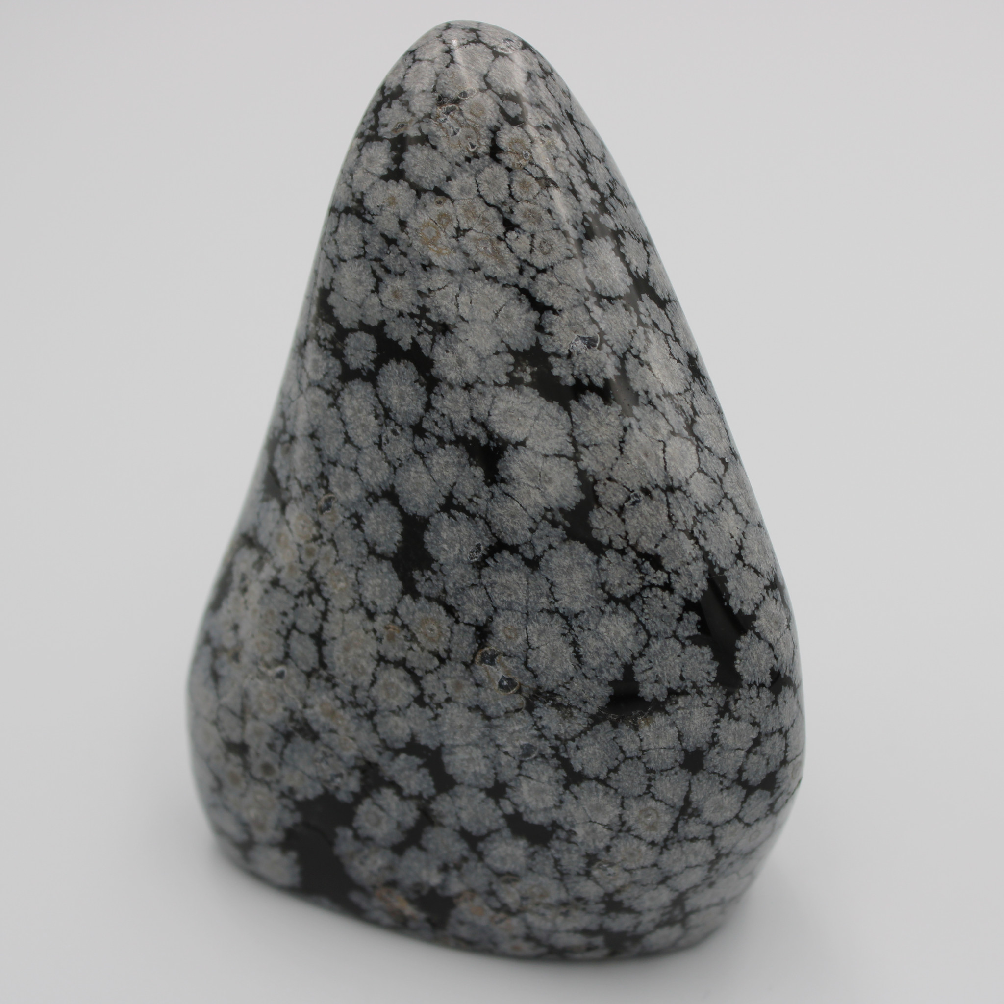 Snowflake Obsidian Freeform - 369g