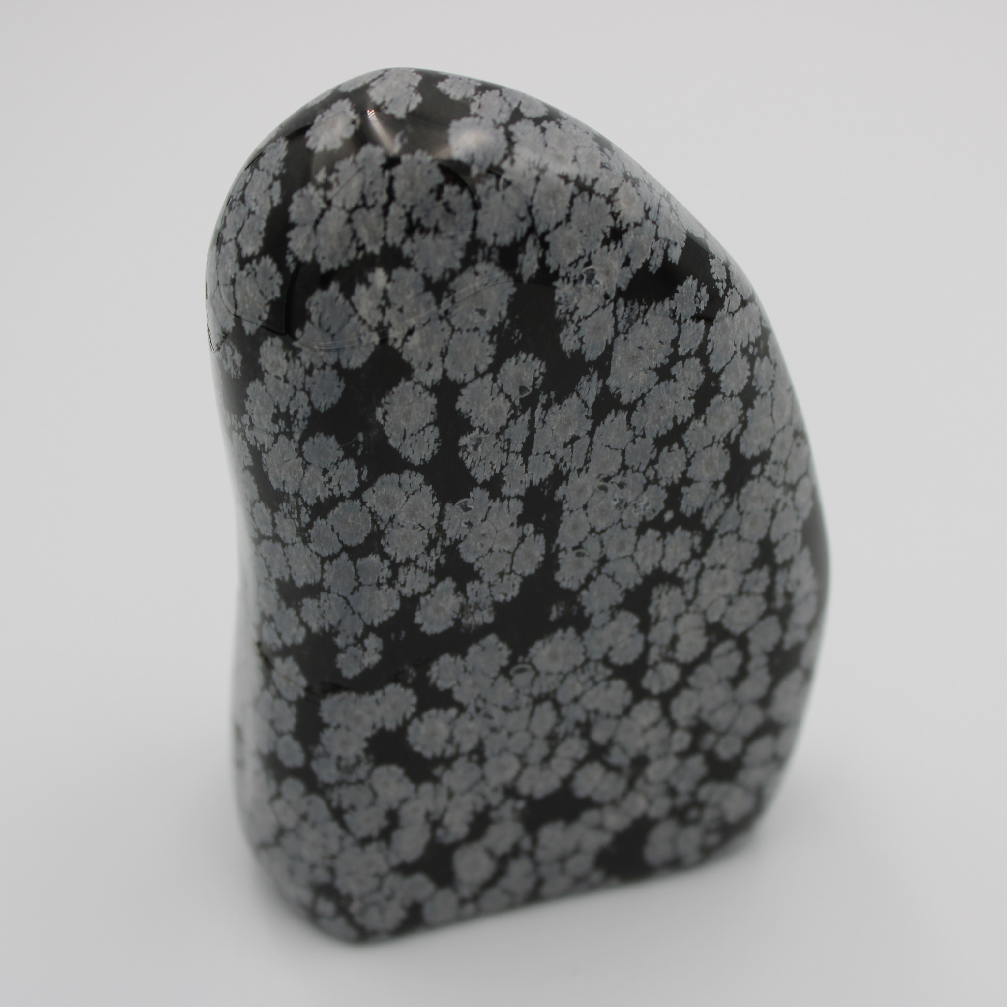 Snowflake Obsidian Freeform - 377g