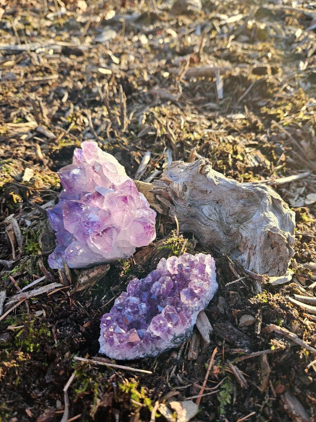 Amethyst Bedeutung – Wirkung und Anwendung im Alltag