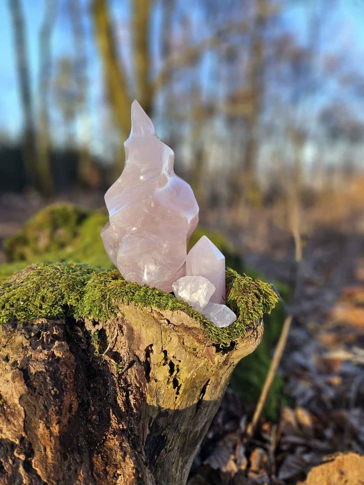 Rosenquarz Bedeutung – Wirkung und Anwendung im Alltag