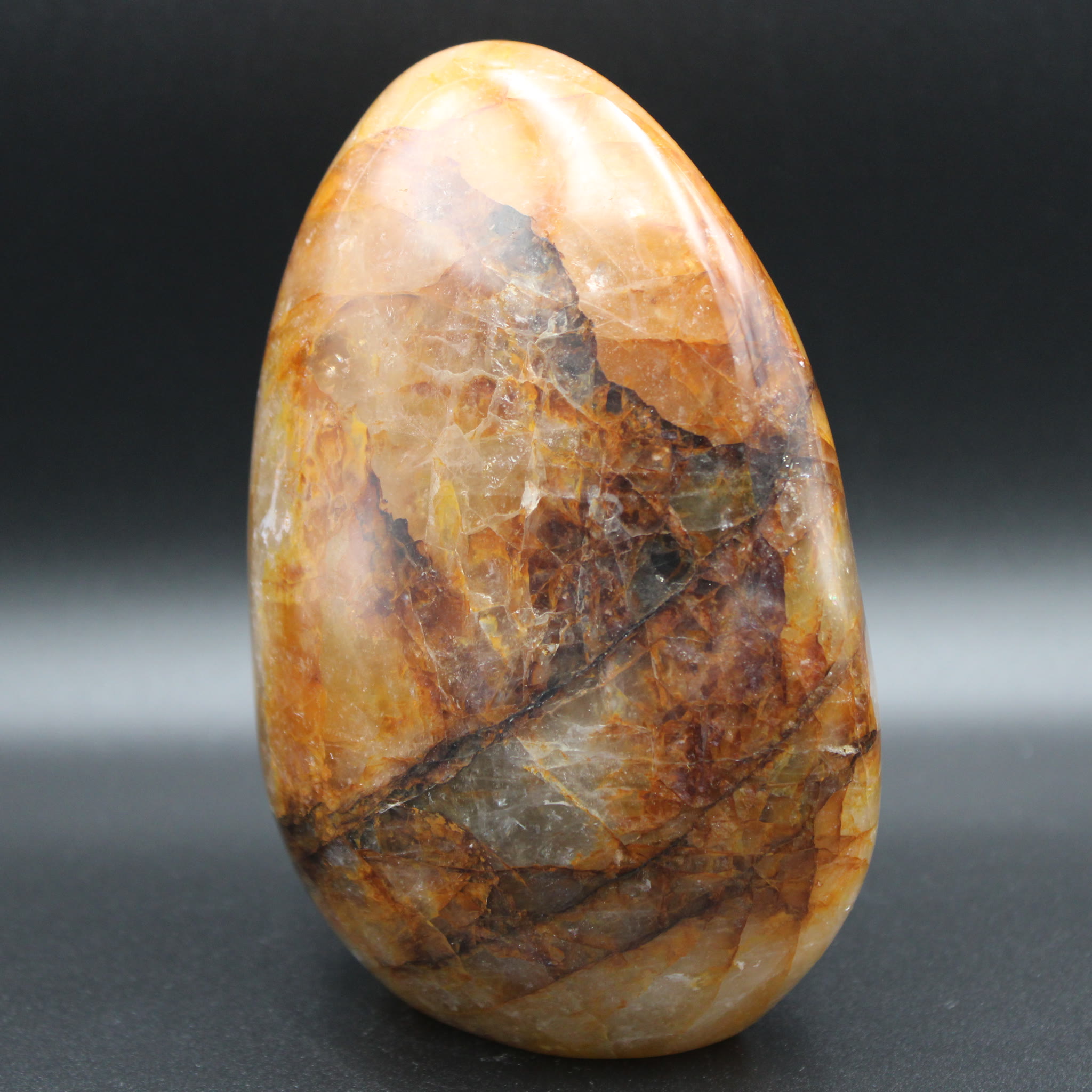 Golden Healer Freeform 1903g back