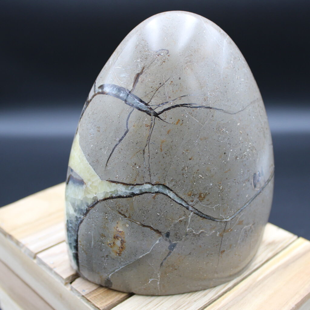 Septarie Freeform 1116g
