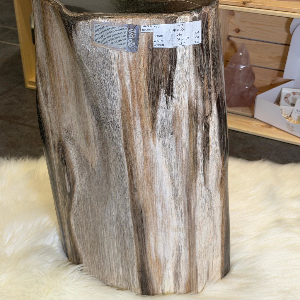 Versteinertes Holz side