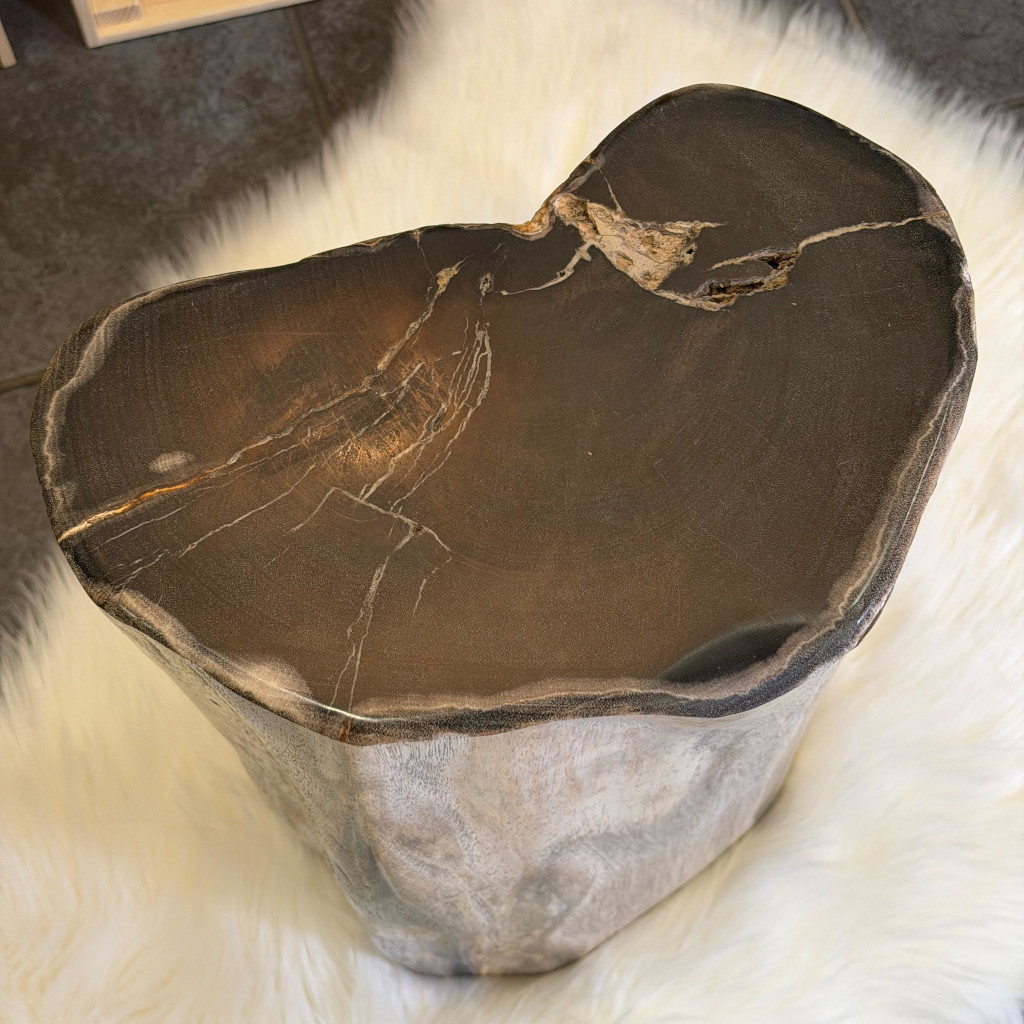 Versteinertes Holz top